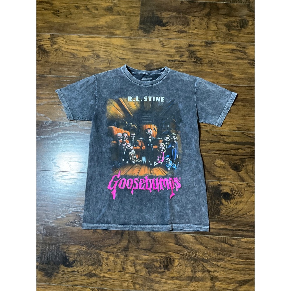 Goosebumps RL Stine Graphic Tee Shirt Small Slappy Horror Mineral Wash Charcoal
